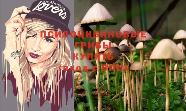 МДПВ Аркадак