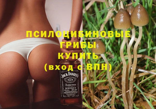 амф Арсеньев