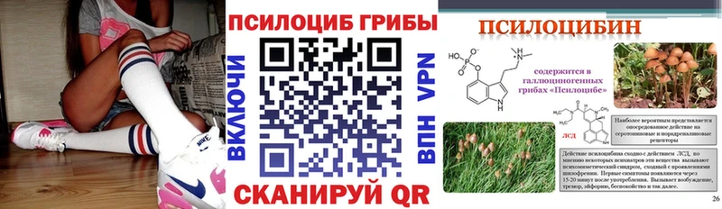 Псилоцибиновые грибы Cubensis Узловая